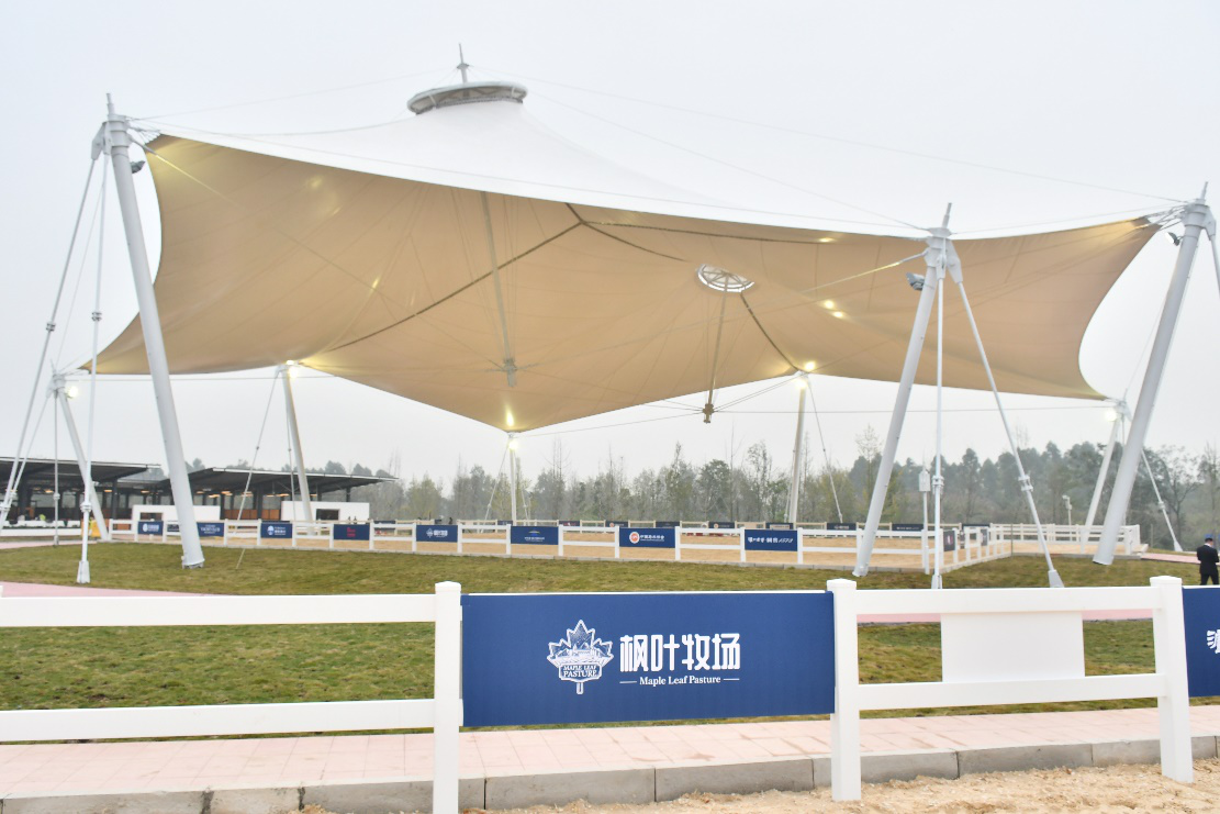 枫叶牧场×锦江马术公开赛暨西南马术联赛在成都举行